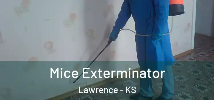  Mice Exterminator Lawrence - KS