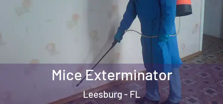 Mice Exterminator Leesburg - FL