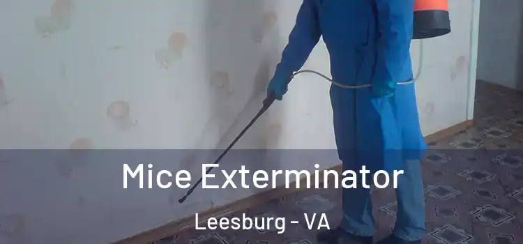  Mice Exterminator Leesburg - VA