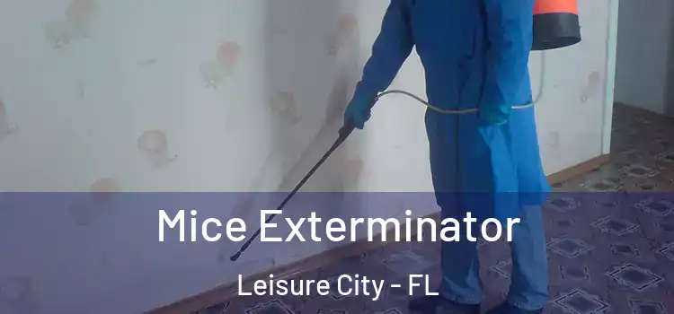 Mice Exterminator Leisure City - FL