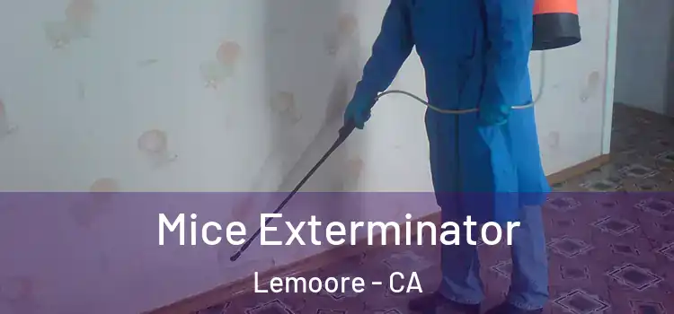  Mice Exterminator Lemoore - CA