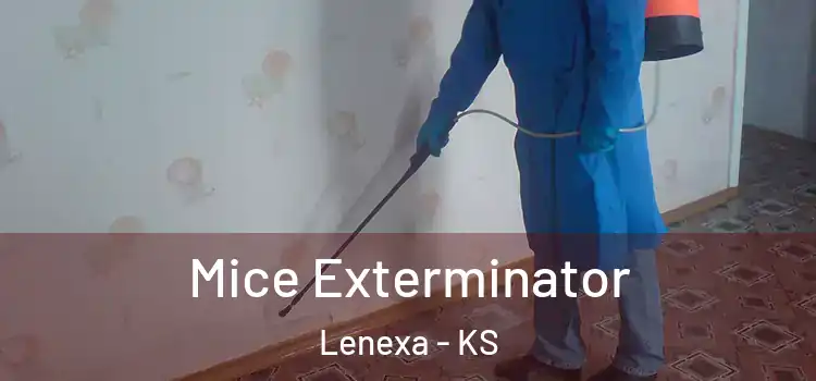 Mice Exterminator Lenexa - KS