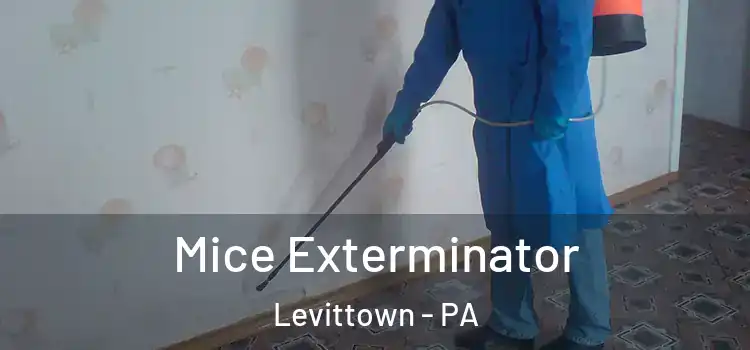  Mice Exterminator Levittown - PA