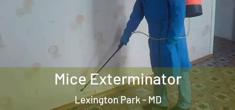 Mice Exterminator Lexington Park - MD