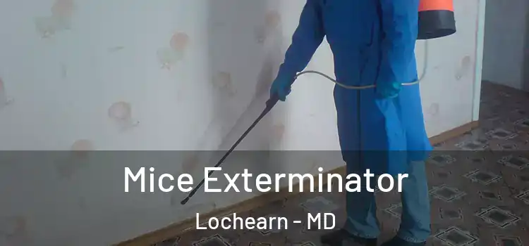  Mice Exterminator Lochearn - MD