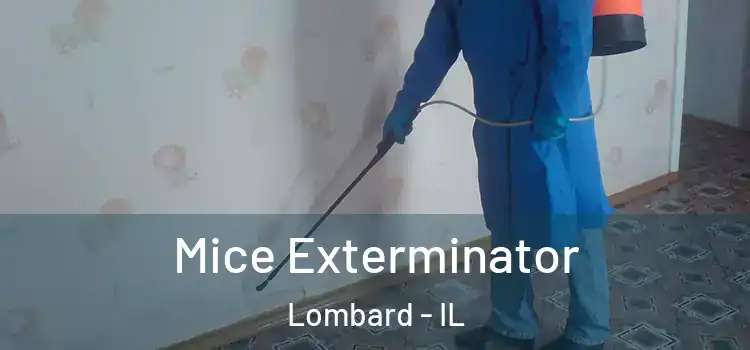 Mice Exterminator Lombard - IL