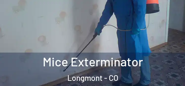Mice Exterminator Longmont - CO