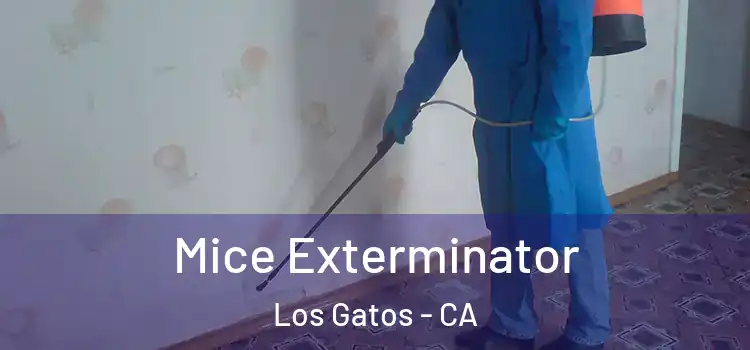 Mice Exterminator Los Gatos - CA