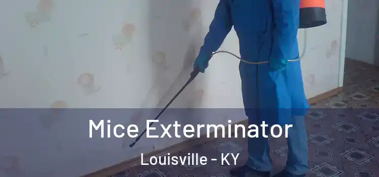 Mice Exterminator Louisville - KY