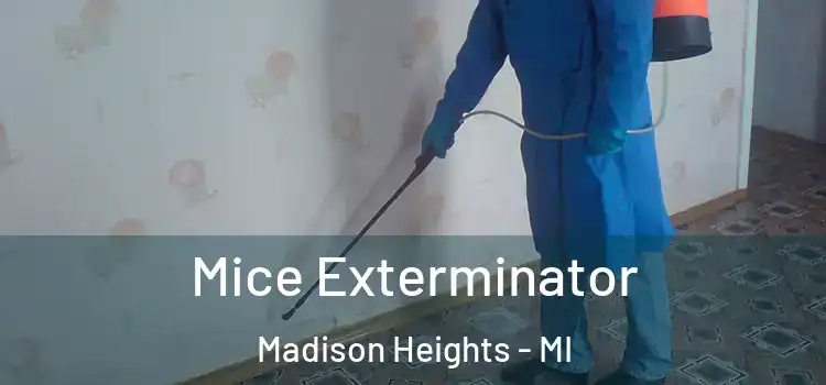 Mice Exterminator Madison Heights - MI