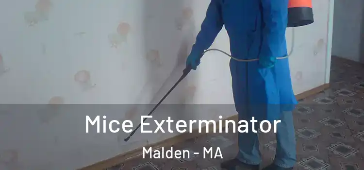  Mice Exterminator Malden - MA