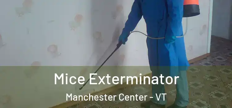  Mice Exterminator Manchester Center - VT