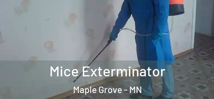 Mice Exterminator Maple Grove - MN