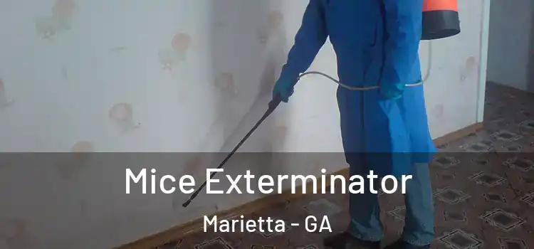  Mice Exterminator Marietta - GA