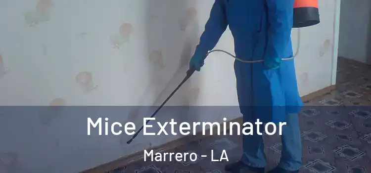  Mice Exterminator Marrero - LA