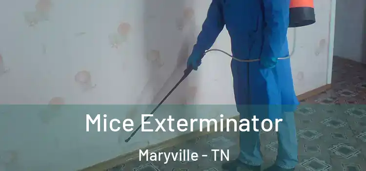 Mice Exterminator Maryville - TN