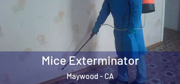  Mice Exterminator Maywood - CA