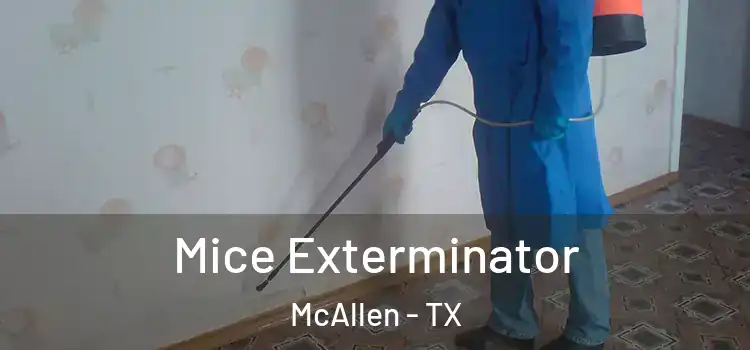  Mice Exterminator McAllen - TX