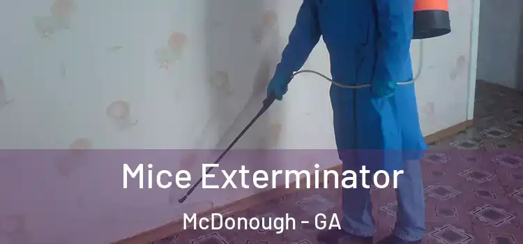  Mice Exterminator McDonough - GA