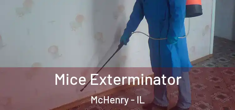 Mice Exterminator McHenry - IL