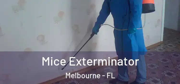  Mice Exterminator Melbourne - FL