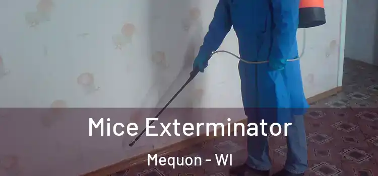 Mice Exterminator Mequon - WI