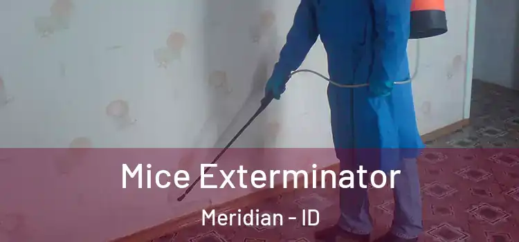 Mice Exterminator Meridian - ID