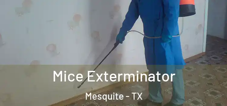  Mice Exterminator Mesquite - TX