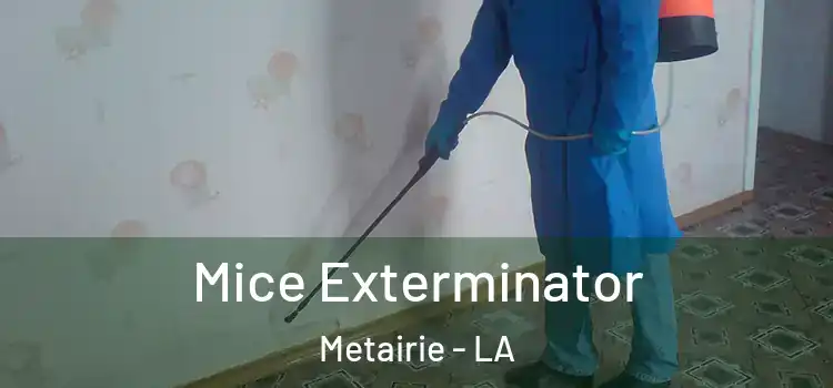 Mice Exterminator Metairie - LA