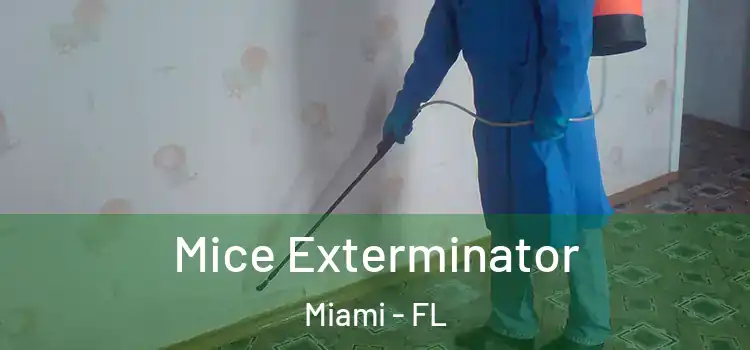  Mice Exterminator Miami - FL