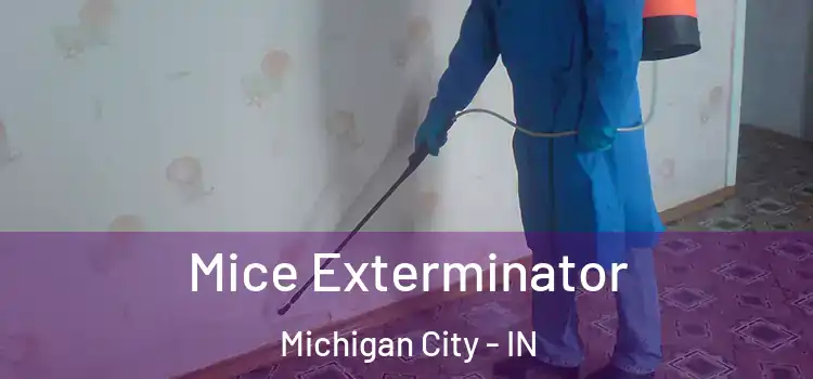 Mice Exterminator Michigan City - IN