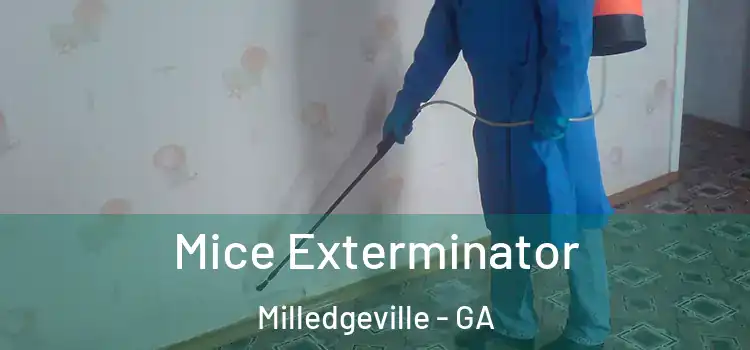  Mice Exterminator Milledgeville - GA