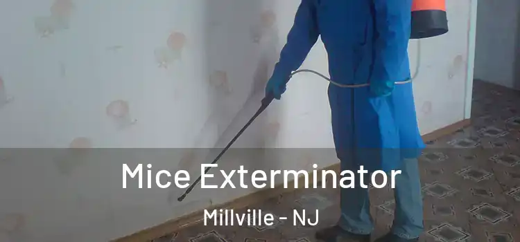  Mice Exterminator Millville - NJ