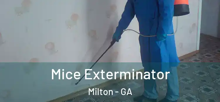  Mice Exterminator Milton - GA