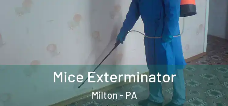  Mice Exterminator Milton - PA