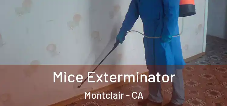  Mice Exterminator Montclair - CA