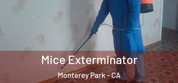  Mice Exterminator Monterey Park - CA