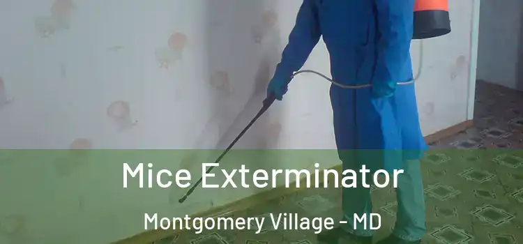  Mice Exterminator Montgomery Village - MD