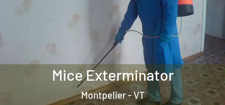  Mice Exterminator Montpelier - VT