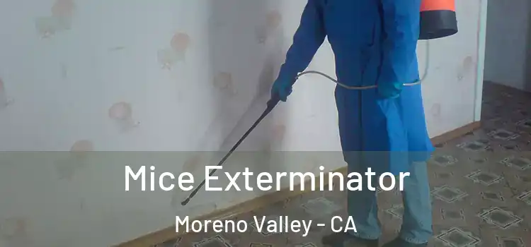  Mice Exterminator Moreno Valley - CA