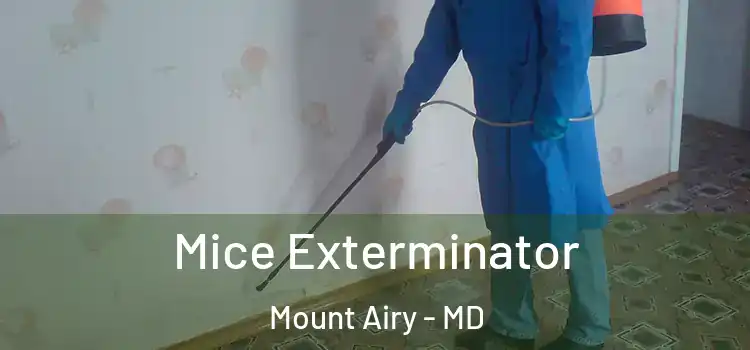 Mice Exterminator Mount Airy - MD