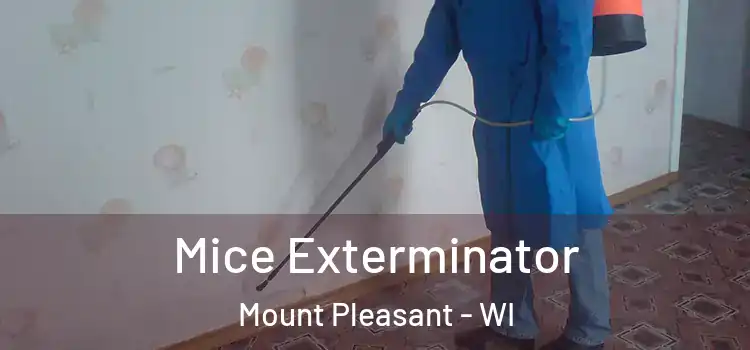 Mice Exterminator Mount Pleasant - WI