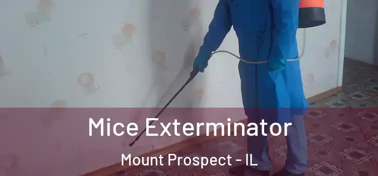 Mice Exterminator Mount Prospect - IL