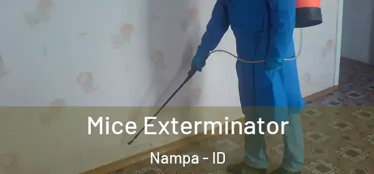  Mice Exterminator Nampa - ID