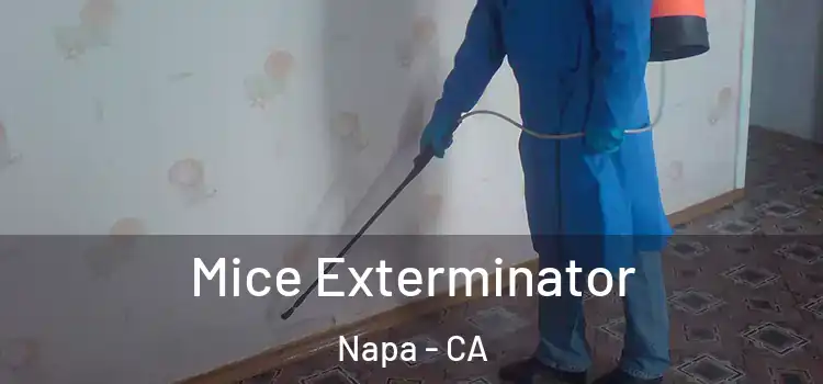  Mice Exterminator Napa - CA