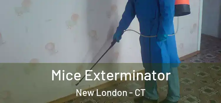 Mice Exterminator New London - CT