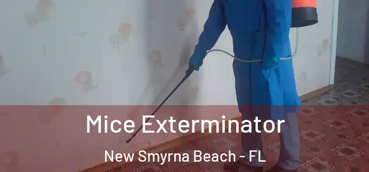  Mice Exterminator New Smyrna Beach - FL