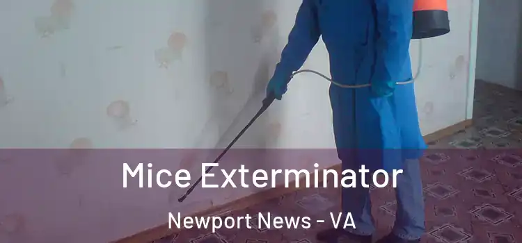 Mice Exterminator Newport News - VA