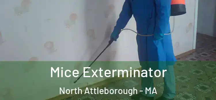 Mice Exterminator North Attleborough - MA
