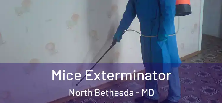 Mice Exterminator North Bethesda - MD
